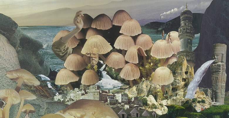 Art installation featuring mushroom-based materials